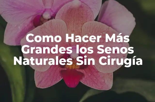 Como Hacer Más Grandes los Senos Naturales sin Cirugía