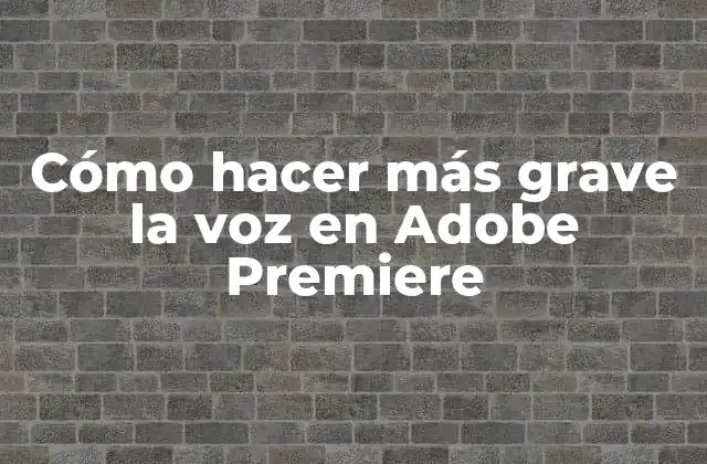 Cómo Hacer Más Grave la Voz en Adobe Premiere