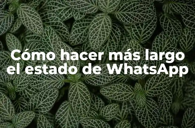 Cómo Hacer Más Largo el Estado de Whatsapp