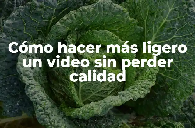 Cómo Hacer Más Ligero un Video sin Perder Calidad 2 Cómo hacer más ligero un video sin perder calidad