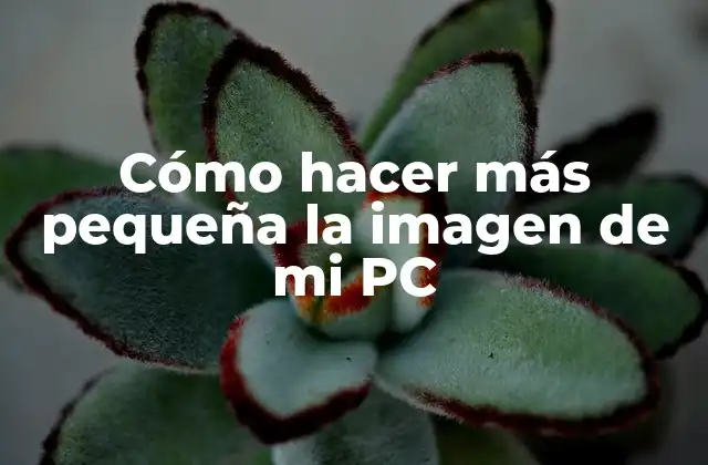 Cómo Hacer Más Pequeña la Imagen de Mi Pc