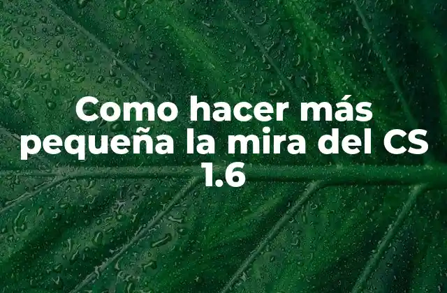 Como Hacer Más Pequeña la Mira Del Cs 1.6