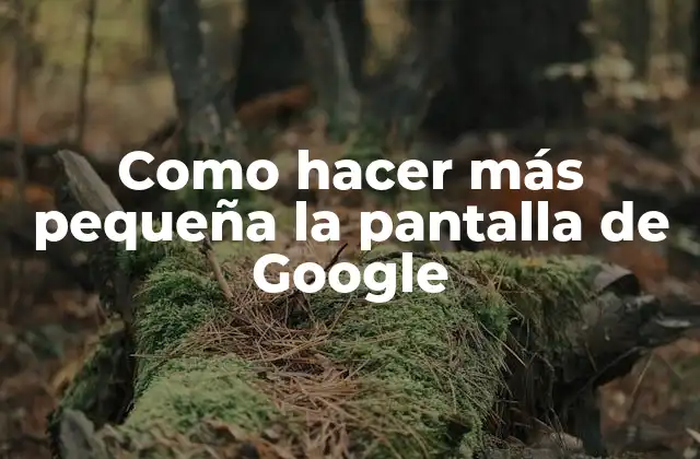 Como Hacer Más Pequeña la Pantalla de Google
