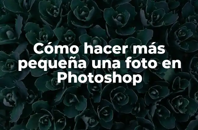 Cómo Hacer Más Pequeña una Foto en Photoshop