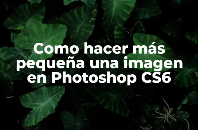 Como Hacer Más Pequeña una Imagen en Photoshop Cs6