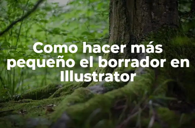 Como Hacer Más Pequeño el Borrador en Illustrator