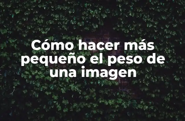 Cómo Hacer Más Pequeño el Peso de una Imagen