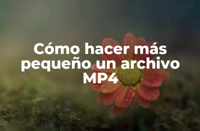 Cómo Hacer Más Pequeño un Archivo Mp4