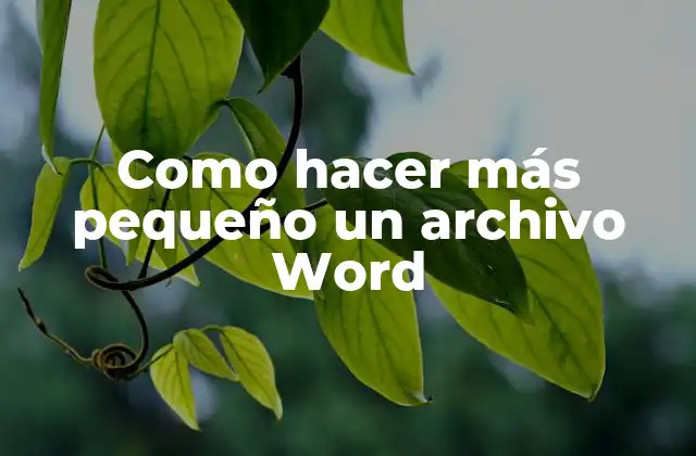 Como Hacer Más Pequeño un Archivo Word