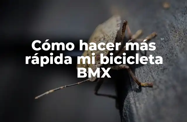 Cómo Hacer Más Rápida Mi Bicicleta Bmx