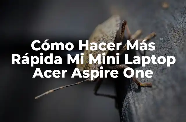Cómo Hacer Más Rápida Mi Mini Laptop Acer Aspire One