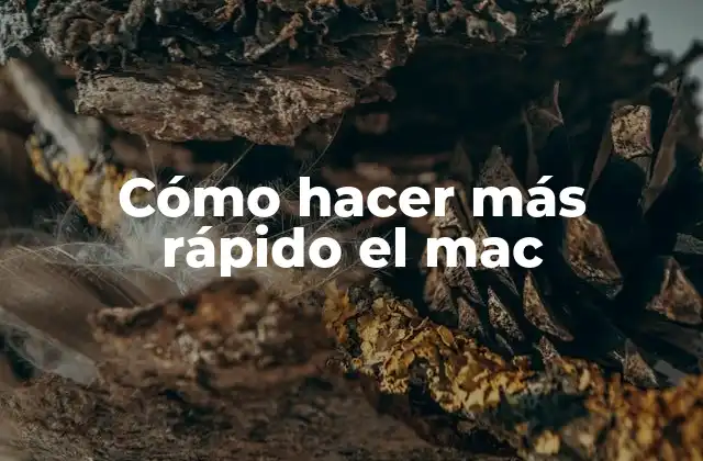 Cómo Hacer Más Rápido el Mac