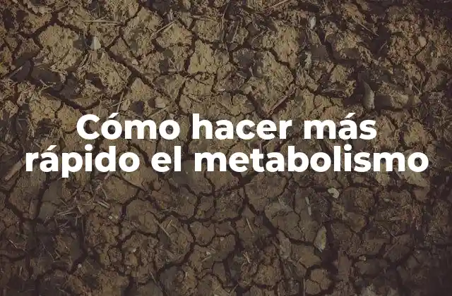 Cómo Hacer Más Rápido el Metabolismo