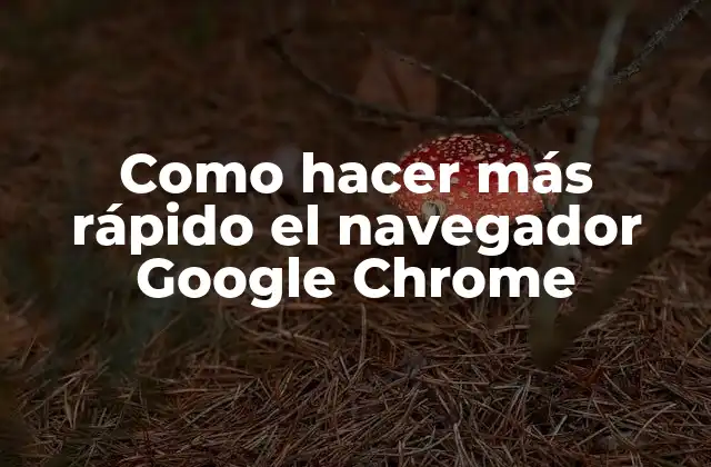 Como Hacer Más Rápido el Navegador Google Chrome