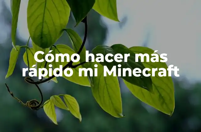 Cómo Hacer Más Rápido Mi Minecraft 2 Cómo hacer más rápido mi Minecraft