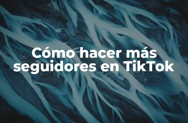 Cómo Hacer Más Seguidores en Tiktok