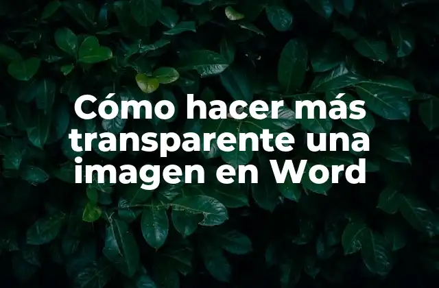 Transparencia de una imagen en Word