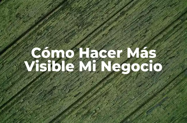Cómo Hacer Más Visible Mi Negocio