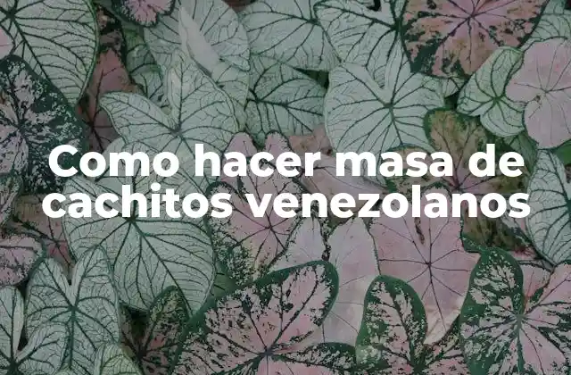 Como Hacer Masa de Cachitos Venezolanos