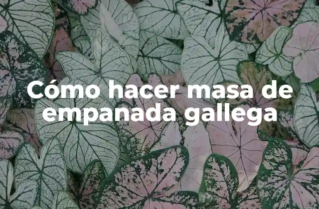 Cómo Hacer Masa de Empanada Gallega