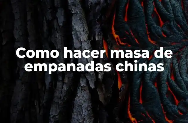 Como Hacer Masa de Empanadas Chinas