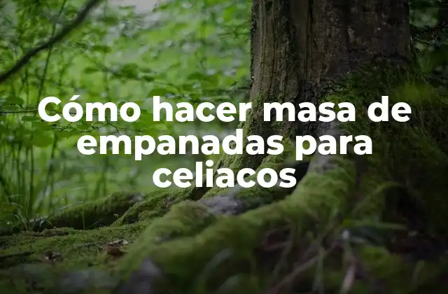 Cómo Hacer Masa de Empanadas para Celiacos 2 Cómo hacer masa de empanadas para celiacos