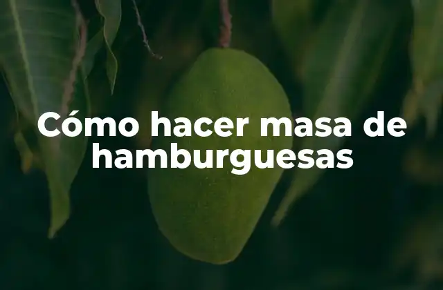 ¿Qué es la masa de hamburguesas?