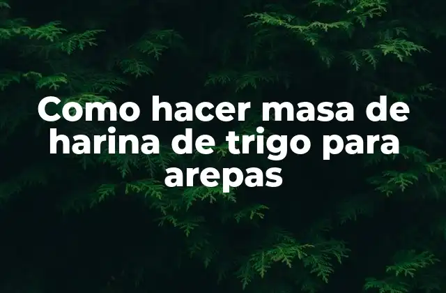 Como Hacer Masa de Harina de Trigo para Arepas