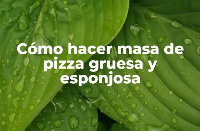 Cómo Hacer Masa de Pizza Gruesa y Esponjosa