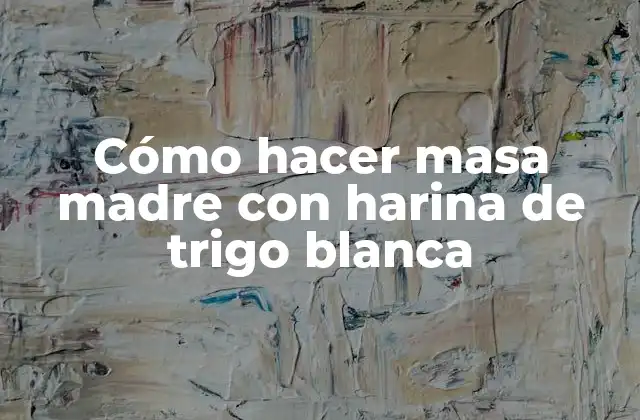 Cómo Hacer Masa Madre con Harina de Trigo Blanca