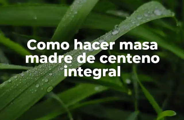 Como Hacer Masa Madre de Centeno Integral