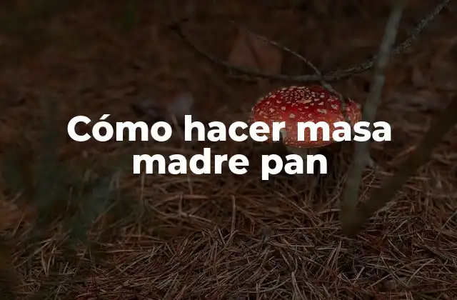 Cómo Hacer Masa Madre Pan
