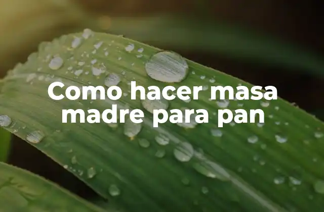 Como Hacer Masa Madre para Pan