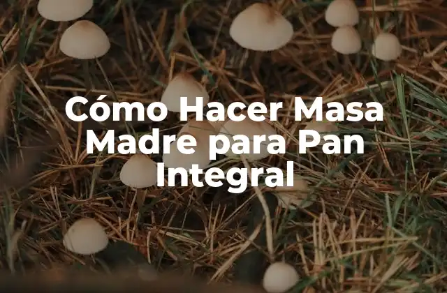 ¿Qué es la Masa Madre y para qué Sirve en la Elaboración de Pan Integral?