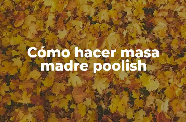Cómo Hacer Masa Madre Poolish