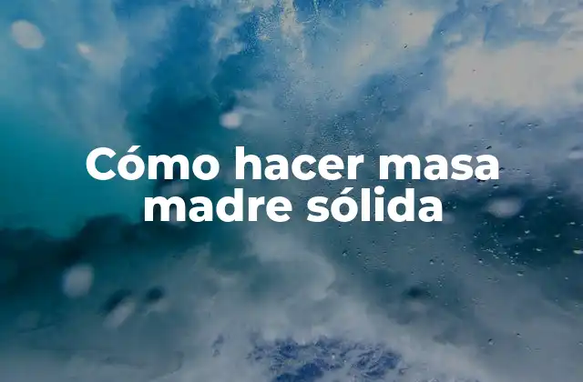Cómo Hacer Masa Madre Sólida 2 ¿Qué es la masa madre sólida y para qué sirve?