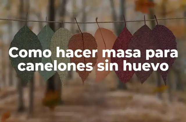 Como Hacer Masa para Canelones sin Huevo