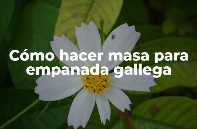 Cómo Hacer Masa para Empanada Gallega