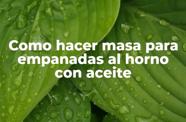 Como Hacer Masa para Empanadas Al Horno con Aceite