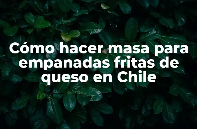 Cómo Hacer Masa para Empanadas Fritas de Queso en Chile