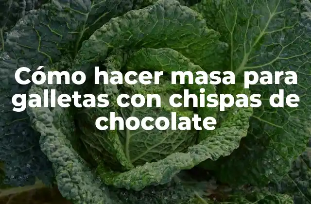 Cómo Hacer Masa para Galletas con Chispas de Chocolate