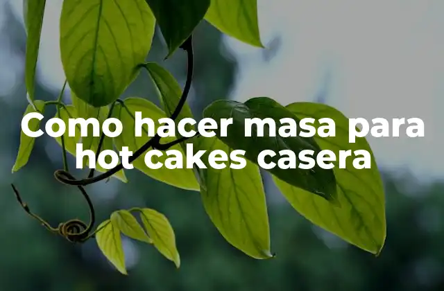 Como Hacer Masa para Hot Cakes Casera