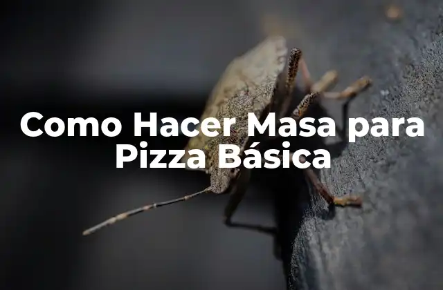 Como Hacer Masa para Pizza Básica