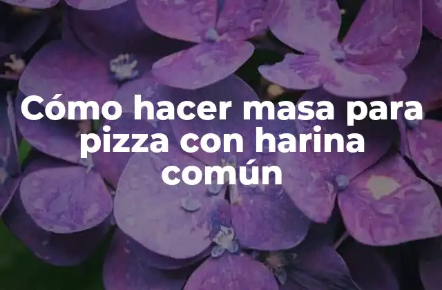 ¿Qué es la masa para pizza y para qué sirve?