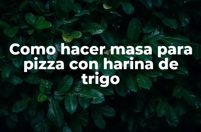 Como Hacer Masa para Pizza con Harina de Trigo