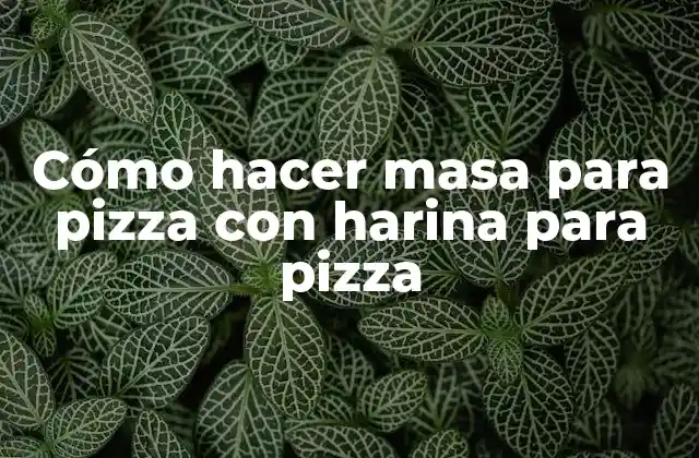 Cómo Hacer Masa para Pizza con Harina para Pizza