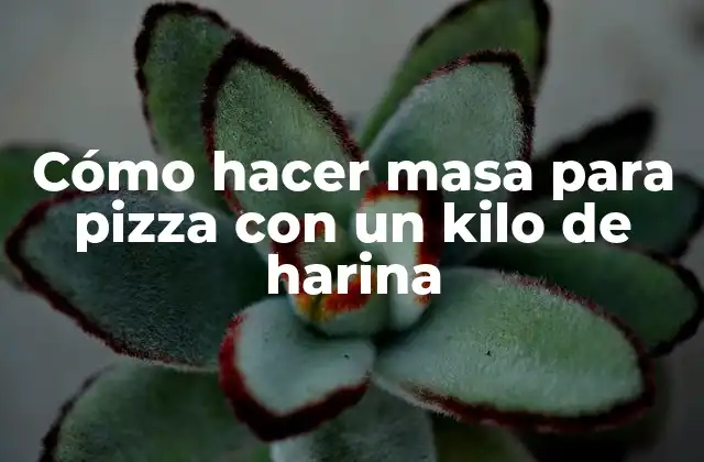 Cómo Hacer Masa para Pizza con un Kilo de Harina