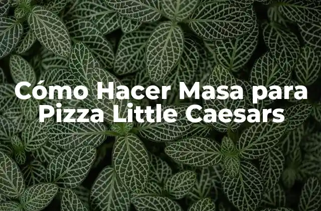Cómo Hacer Masa para Pizza Little Caesars