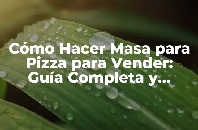 Cómo Hacer Masa para Pizza para Vender: Guía Completa y Rentable