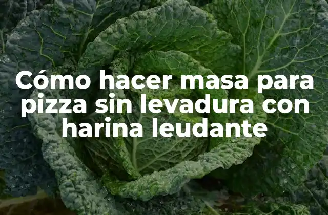 Cómo Hacer Masa para Pizza sin Levadura con Harina Leudante